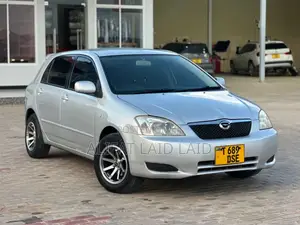 Toyota Allex 2004 Silver