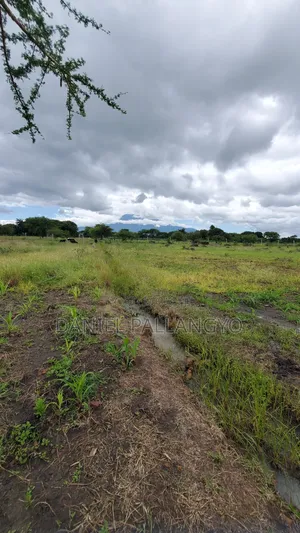 Sale Ya Viwanja 2.5m East Africa Niyamoto Sana