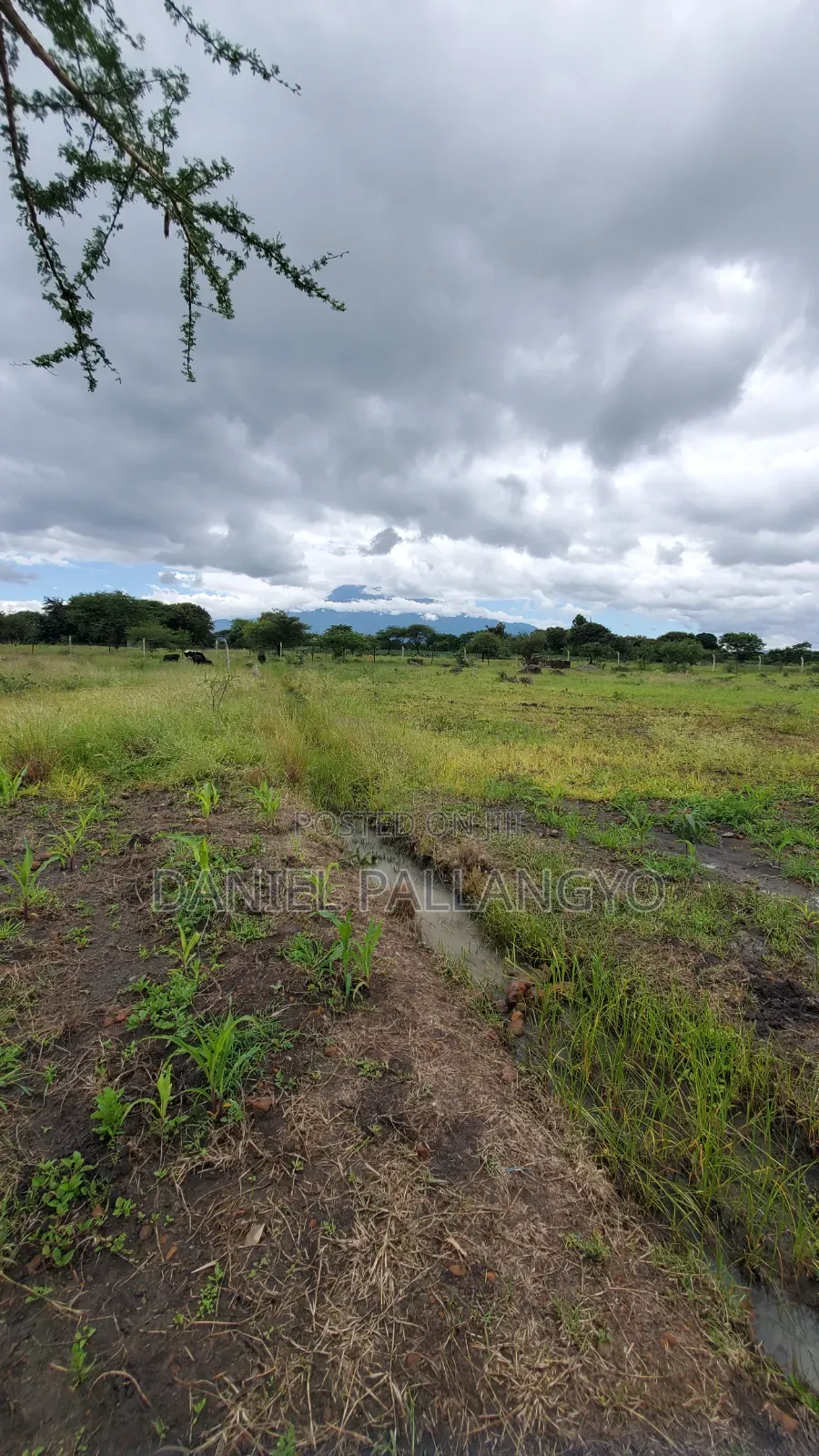 Sale Ya Viwanja 2.5m East Africa Niyamoto Sana