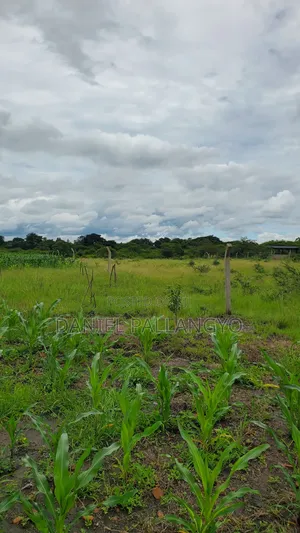 Sale Ya Viwanja 2.5m East Africa Niyamoto Sana