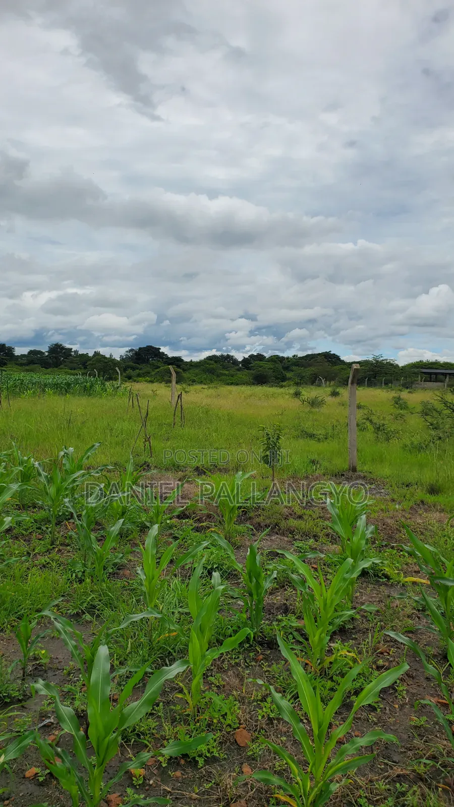 Sale Ya Viwanja 2.5m East Africa Niyamoto Sana