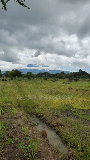 Sale Ya Viwanja 2.5m East Africa Niyamoto Sana