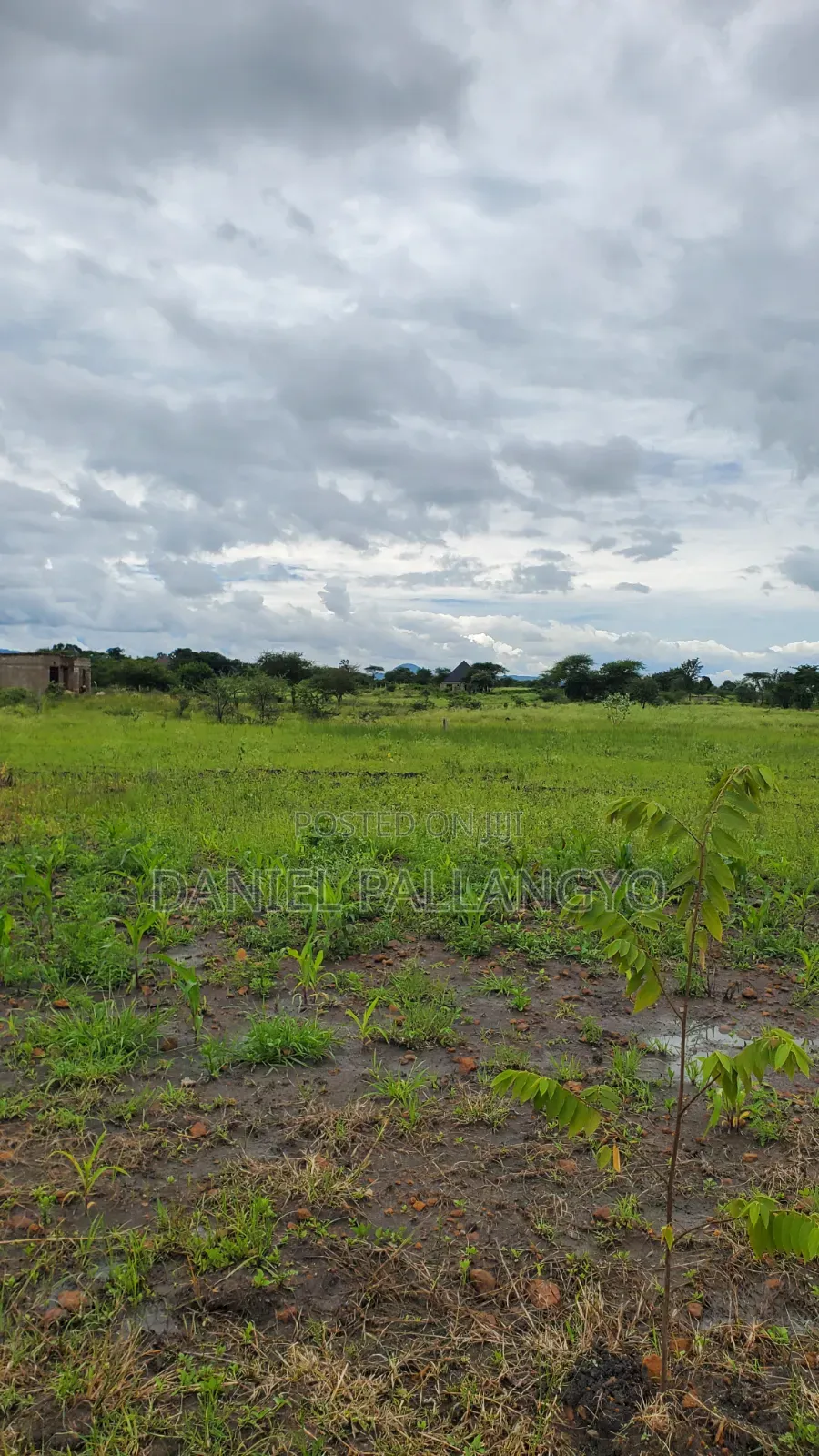 Sale Ya Viwanja 2.5m East Africa Niyamoto Sana