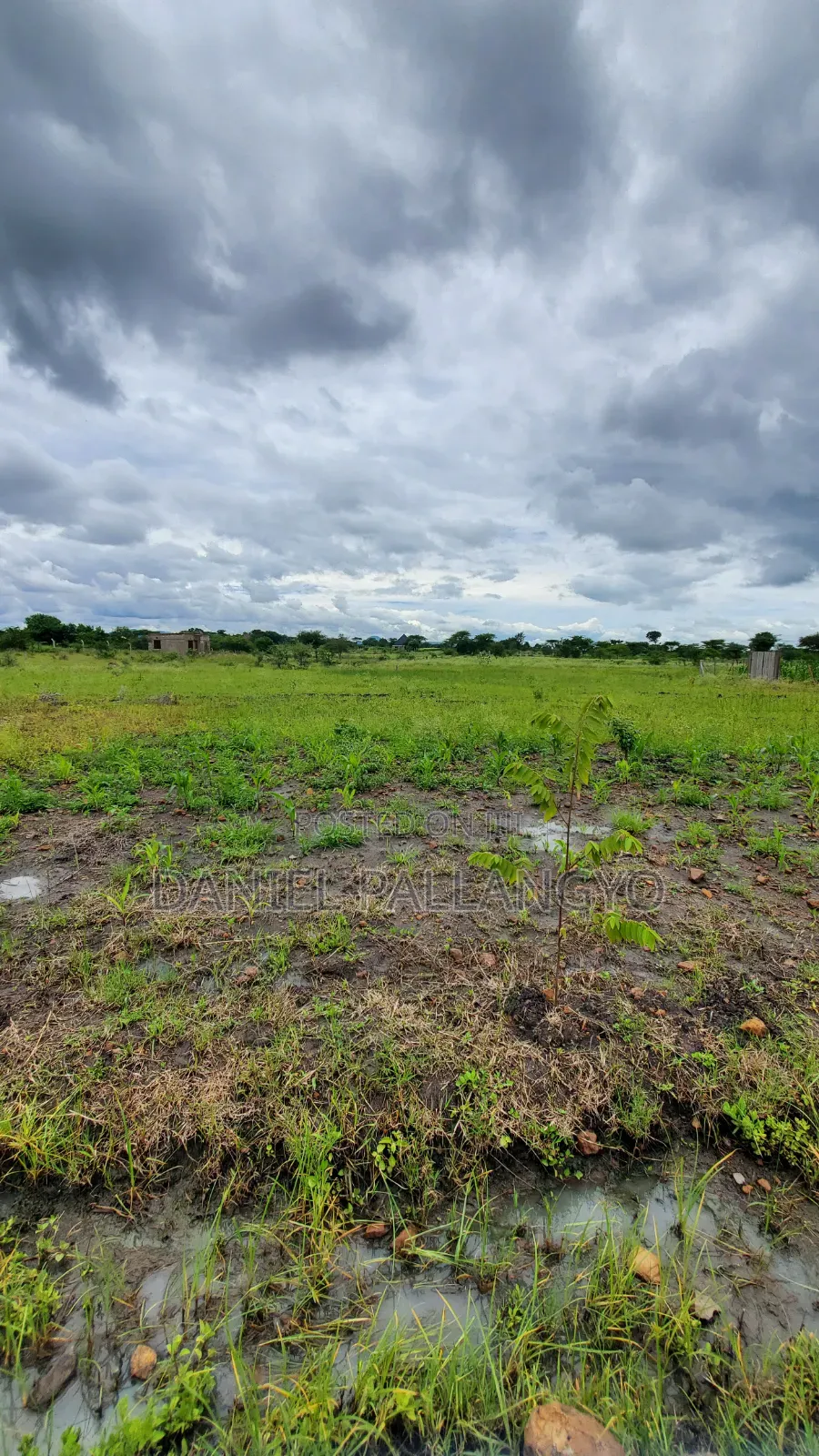 Sale Ya Viwanja 2.5m East Africa Niyamoto Sana