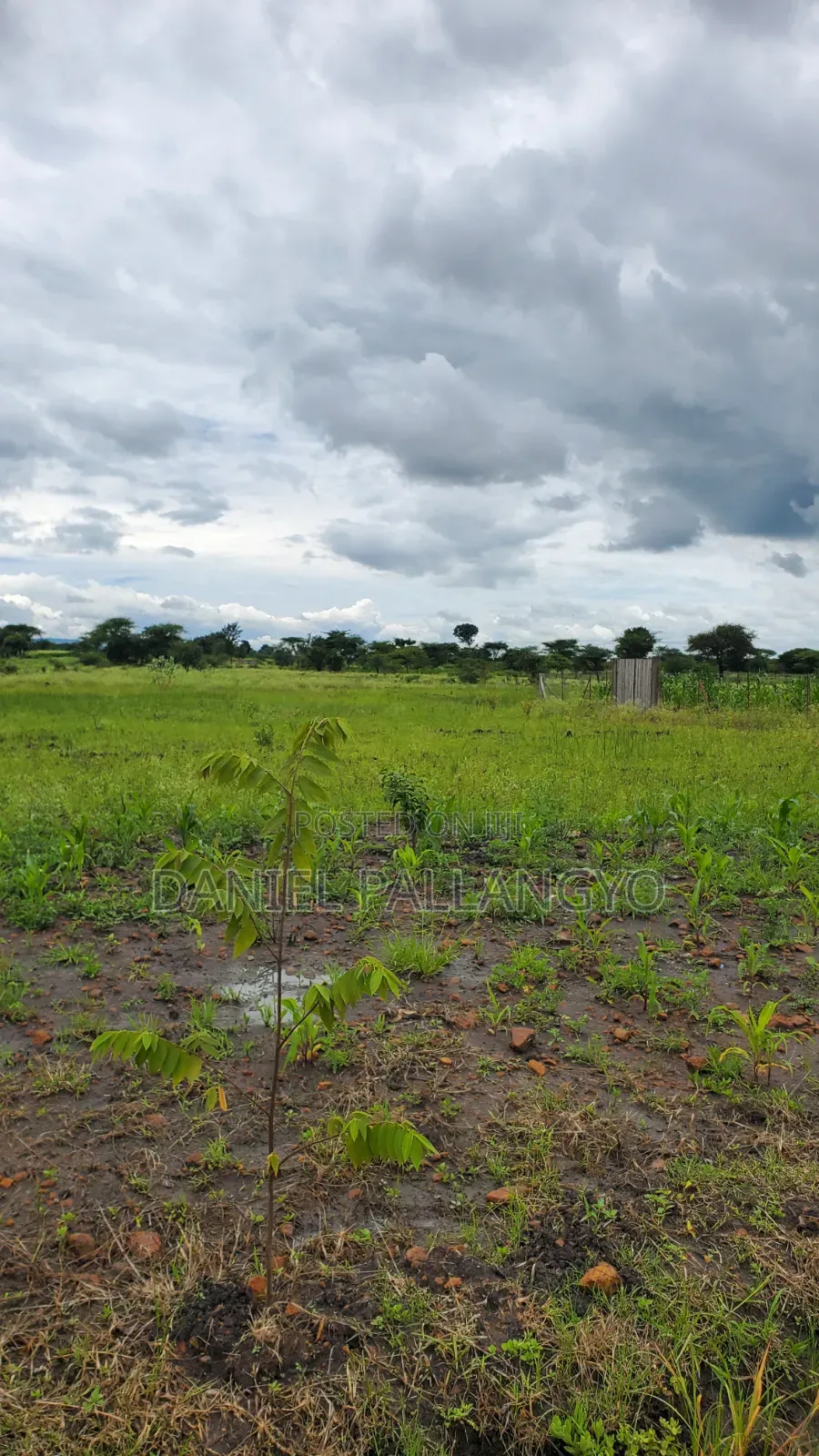 Sale Ya Viwanja 2.5m East Africa Niyamoto Sana