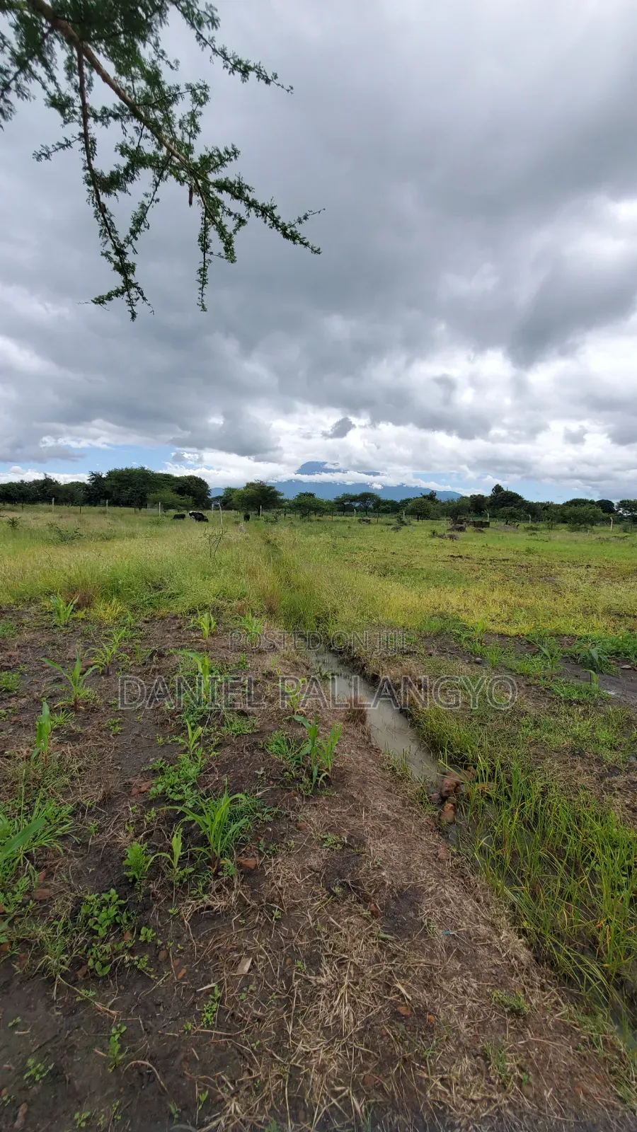 Sale Ya Viwanja 2.5m East Africa Niyamoto Sana