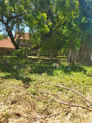 Plot for Sale Oysterbay