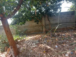 Plot for Sale Kunduchi Mtongani