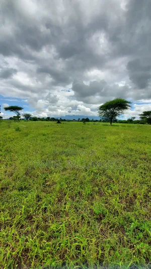 Best Plots in East Africa Road Arusha 2.5m Only