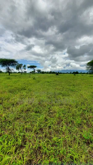 Best Plots in East Africa Road Arusha 2.5m Only