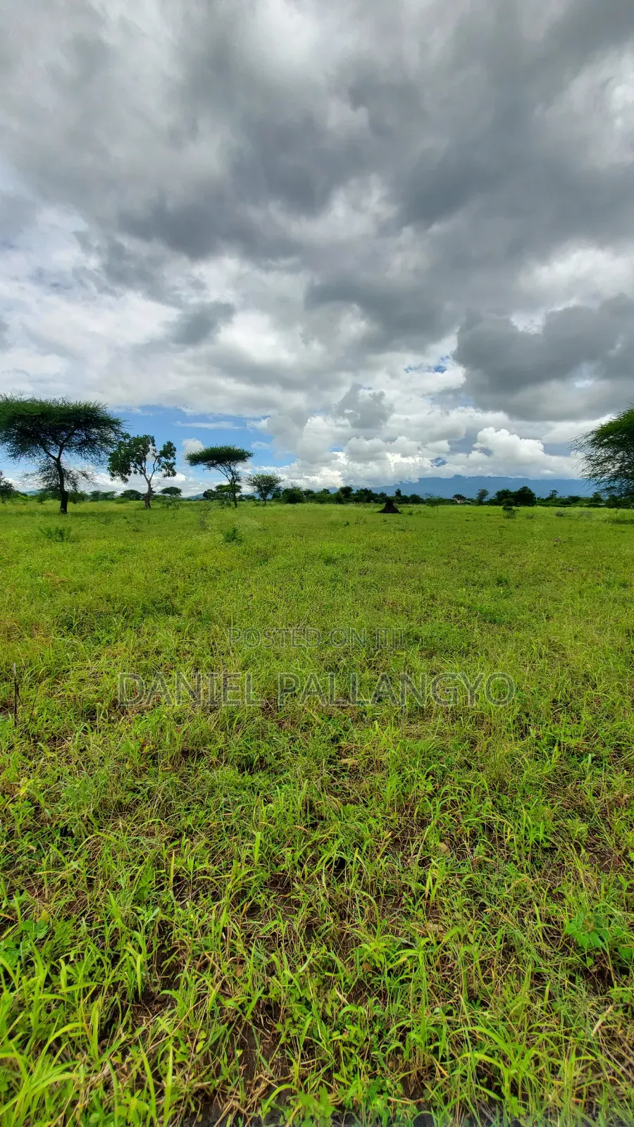 Best Plots in East Africa Road Arusha 2.5m Only