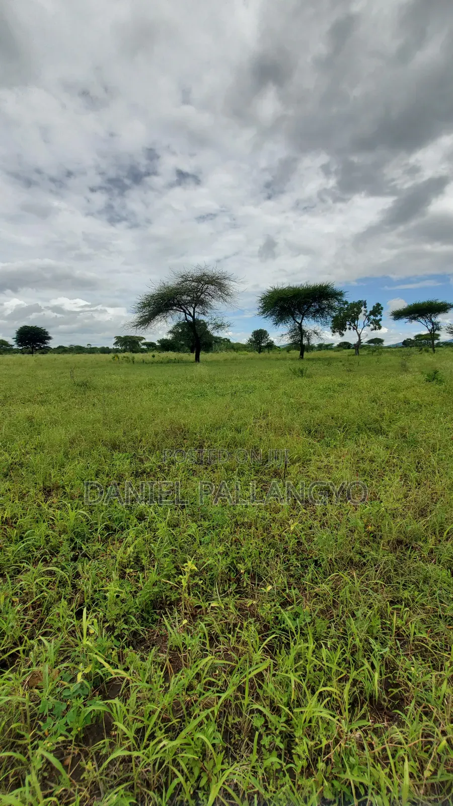 Best Plots in East Africa Road Arusha 2.5m Only