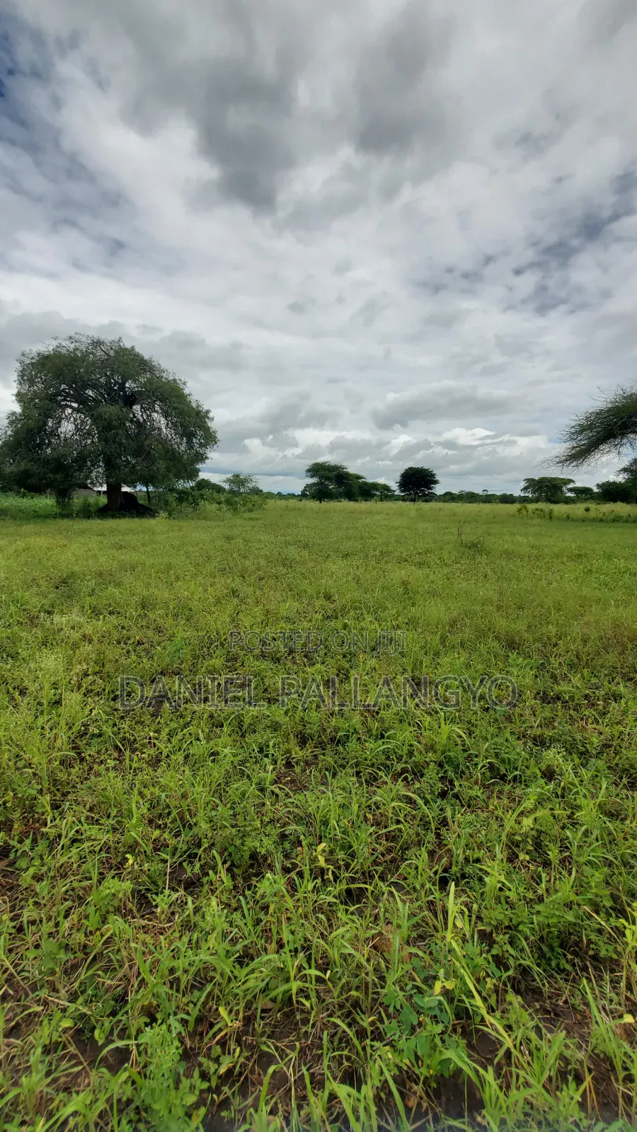 Best Plots in East Africa Road Arusha 2.5m Only
