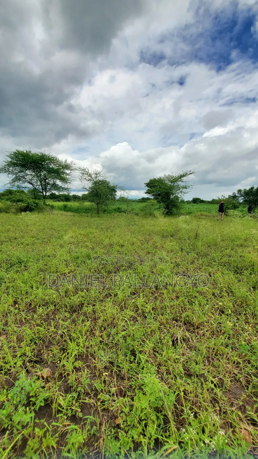 Best Plots in East Africa Road Arusha 2.5m Only