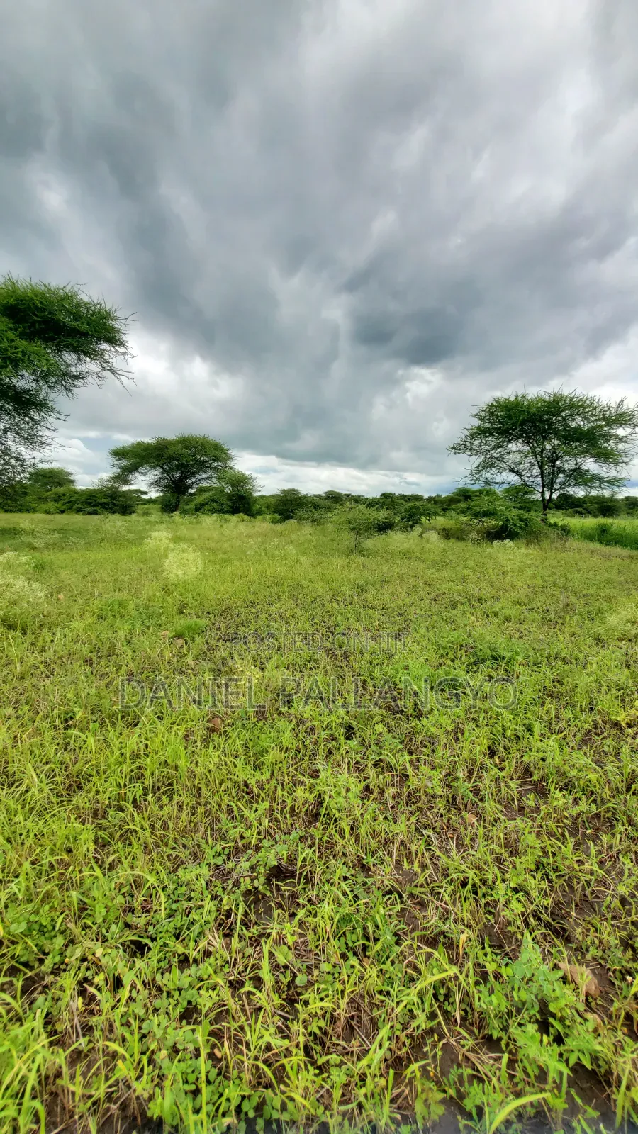 Best Plots in East Africa Road Arusha 2.5m Only