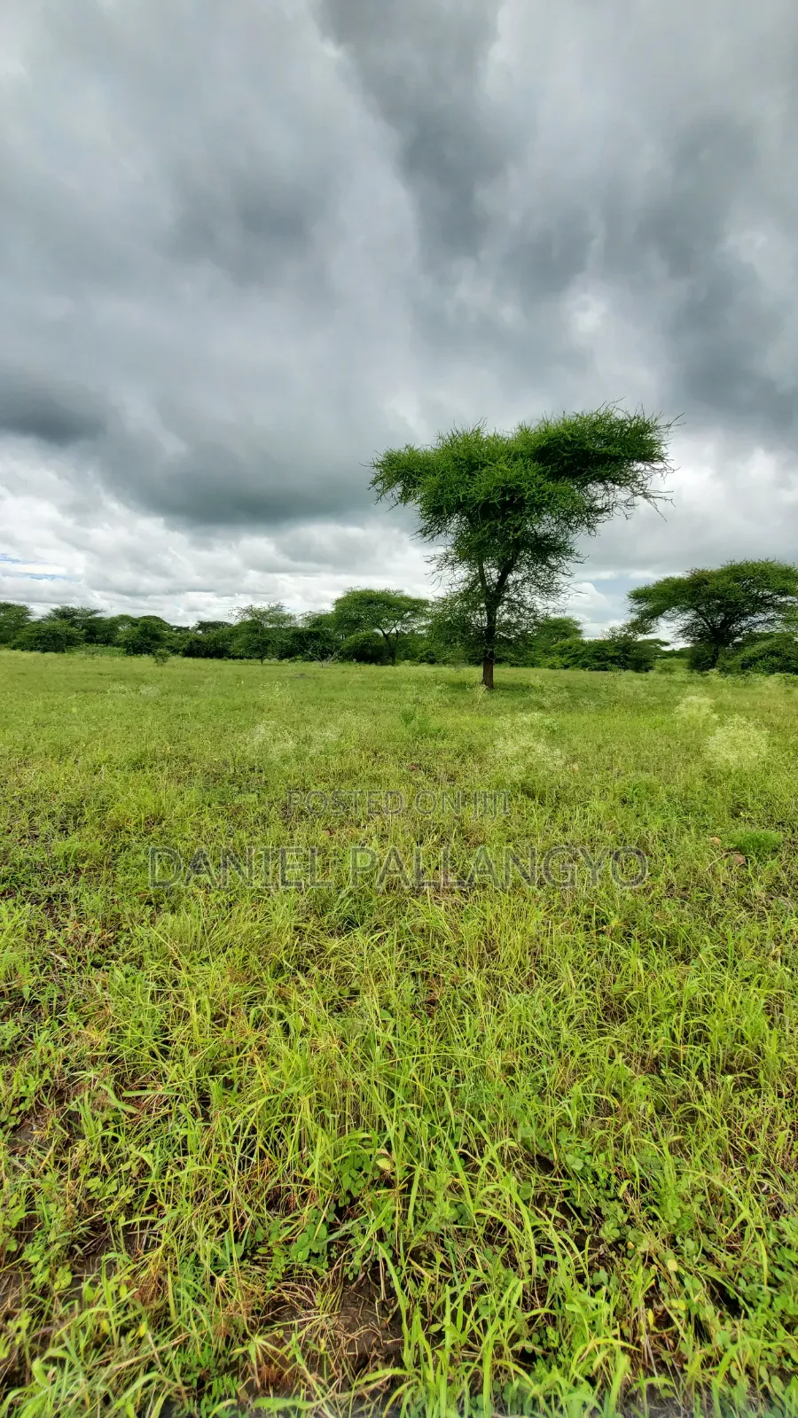 Best Plots in East Africa Road Arusha 2.5m Only