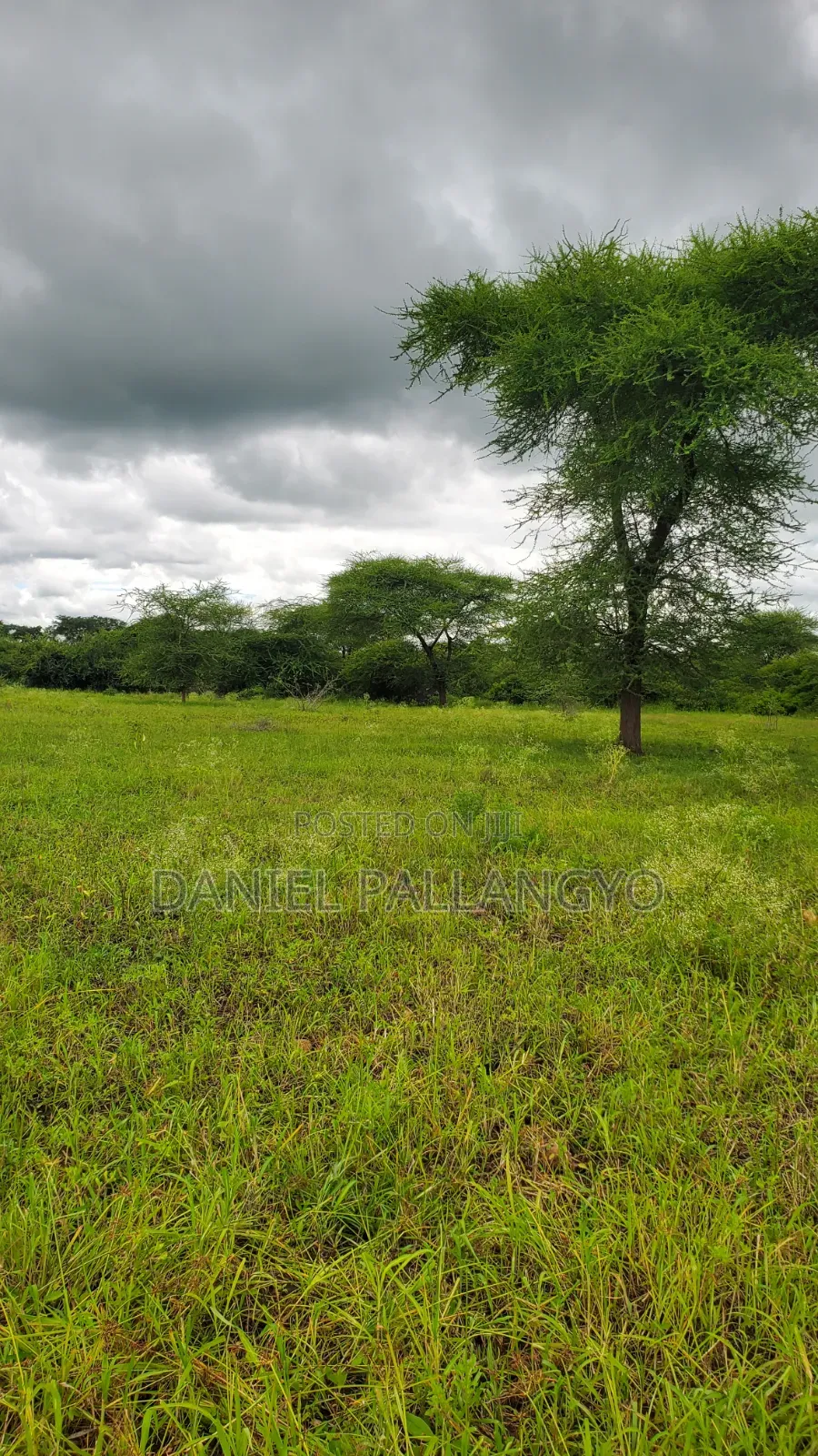 Best Plots in East Africa Road Arusha 2.5m Only