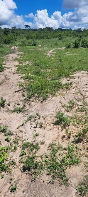 Shamba Linauzwa Mwavi - Bagamoyo