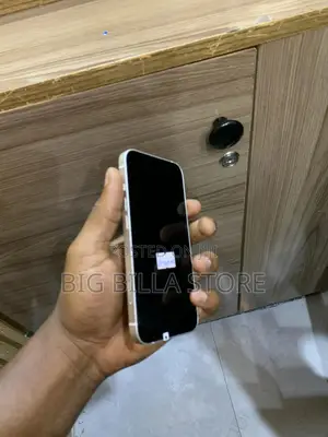 Apple iPhone 13 256 GB White
