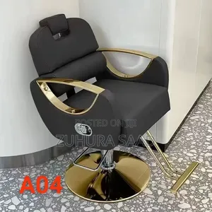 Salon Chair