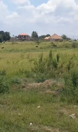 2nd Plot for Sale TSH 4.5 Billion at Kigamboni Kibada, Dar Es Salaam