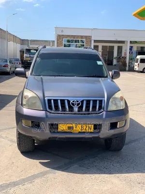 Toyota Land Cruiser Prado 2005 Gray