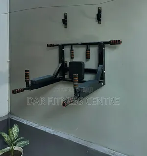 Wall Mounted Pull Up Bar