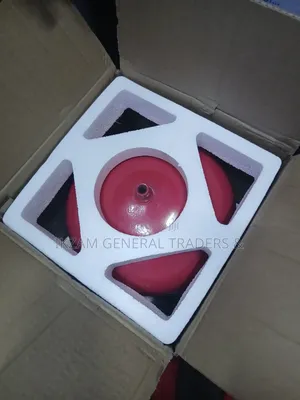 Fire Extinguisher Automatic 12kg (Dcp)