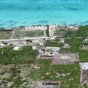 Jambiani Zanzibar, 2 Plots Near Beach for Sale(Each at $42,000)