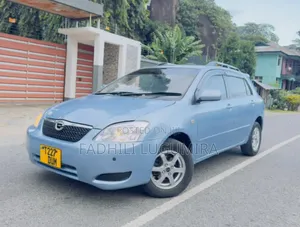 Toyota Corolla RunX 2004 Blue