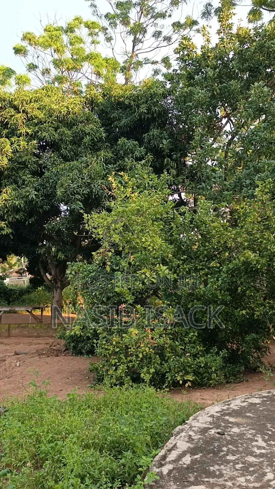 Plot for Sale Mwanza Airport