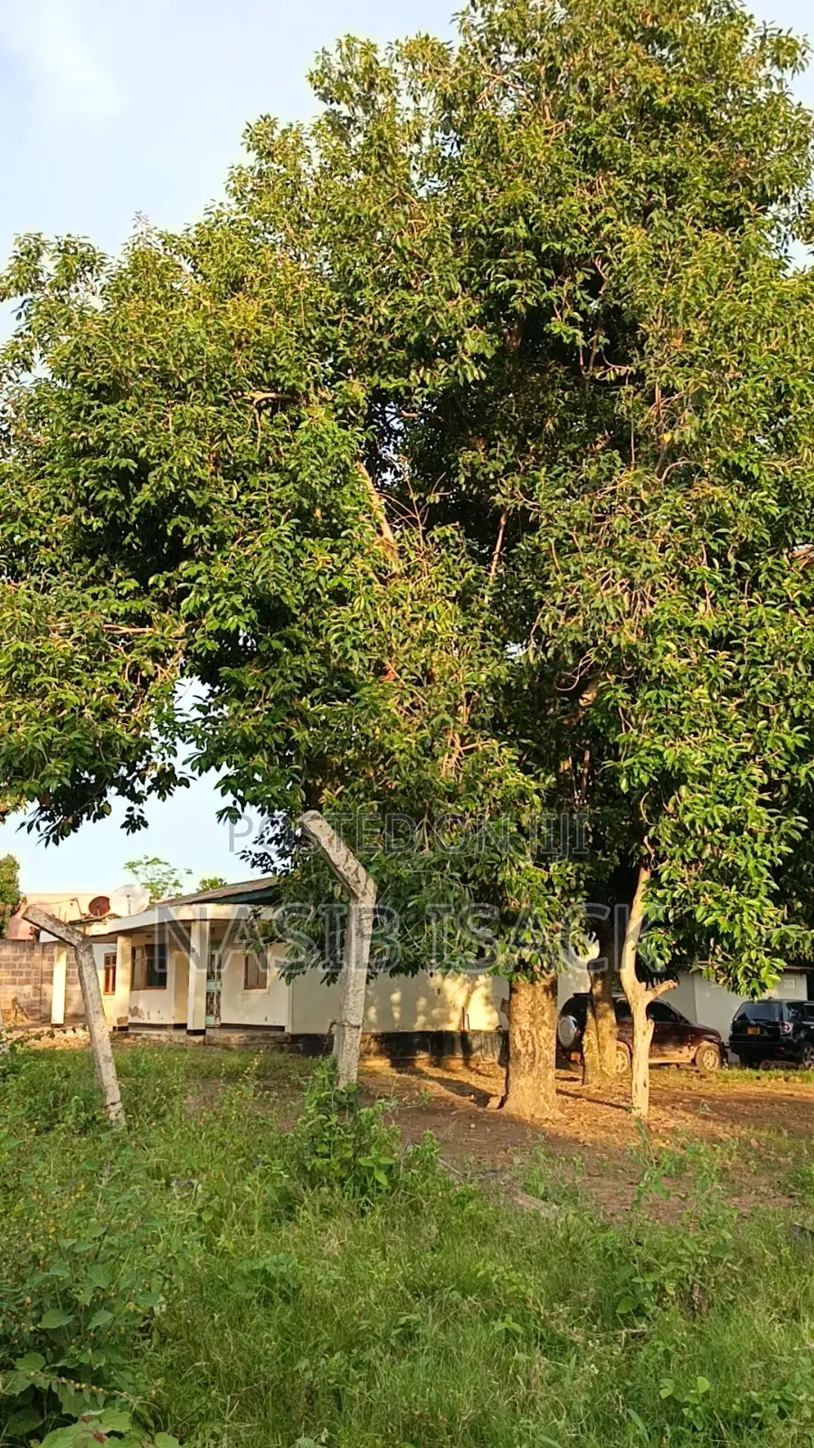 Plot for Sale Mwanza Airport