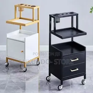 Multifunctional Saloon Troller