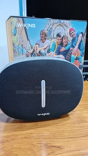 W-King Portable Speaker T8ii