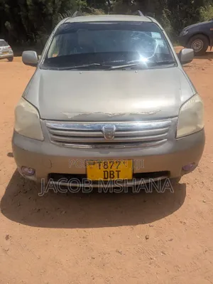 Toyota Raum 2003 Gray