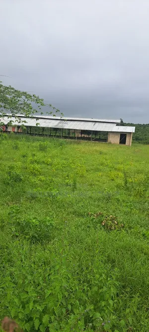 Shamba La Kuku (Poultry Farm) Linauzwa Mwavi