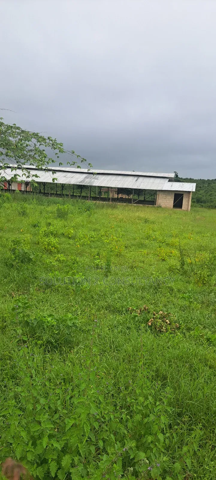 Shamba La Kuku (Poultry Farm) Linauzwa Mwavi