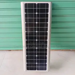 Solar Street Light Heavy Duty 60w