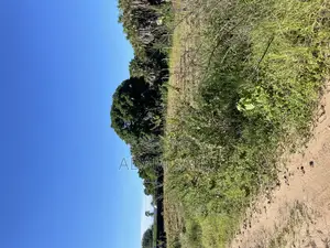 3000 SQM Beach Plot for Sale Kigamboni