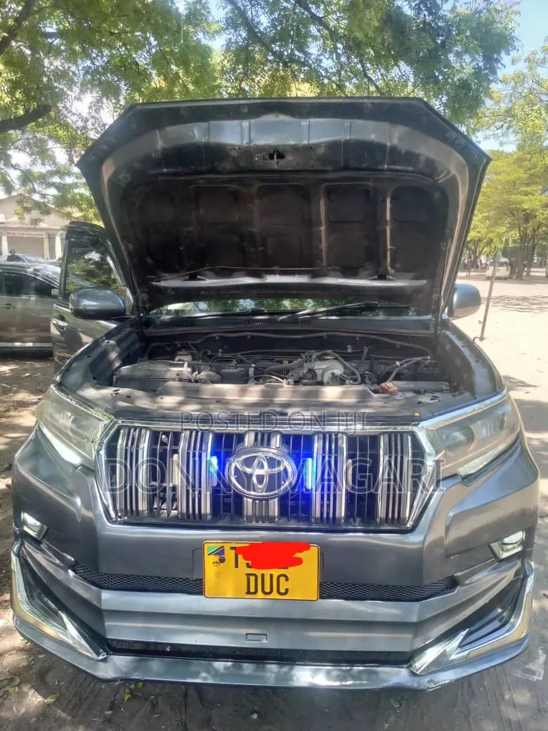 Toyota Land Cruiser Prado 2006 Gray