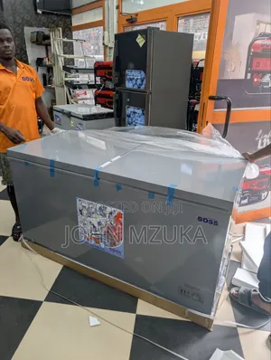 Chest Freezer From Boss , Large One 450 Liters