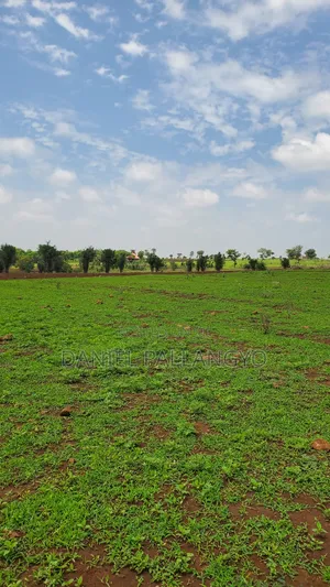 East Africa Imeitika Tena Viwanja Bei Ganda La Ndizi