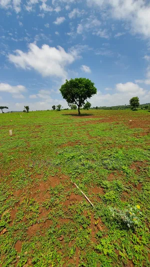 East Africa Imeitika Tena Viwanja Bei Ganda La Ndizi