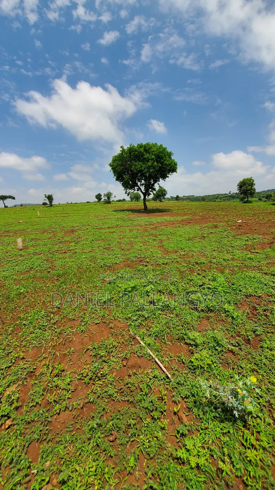 East Africa Imeitika Tena Viwanja Bei Ganda La Ndizi