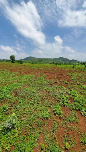 East Africa Imeitika Tena Viwanja Bei Ganda La Ndizi