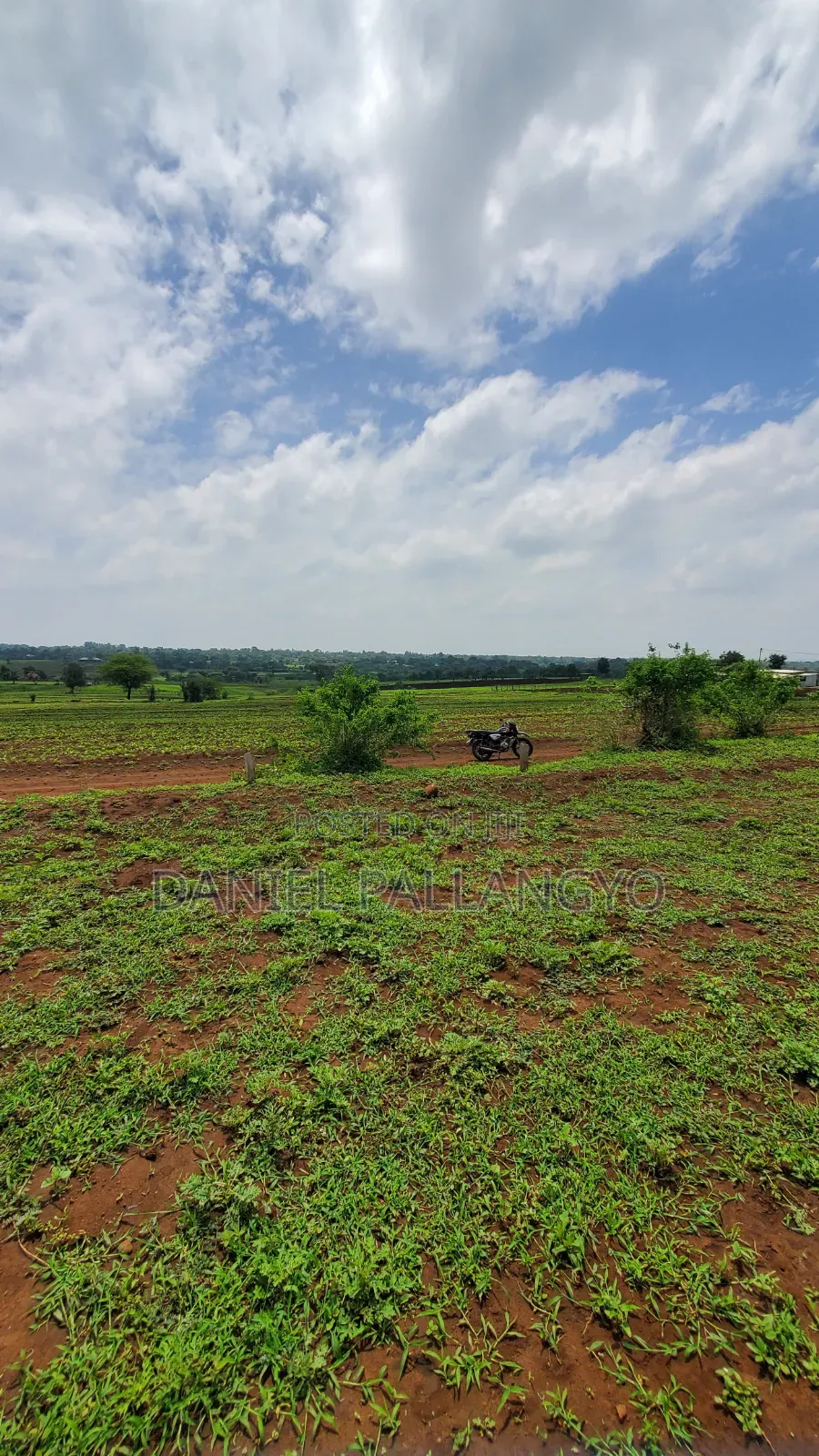 East Africa Imeitika Tena Viwanja Bei Ganda La Ndizi