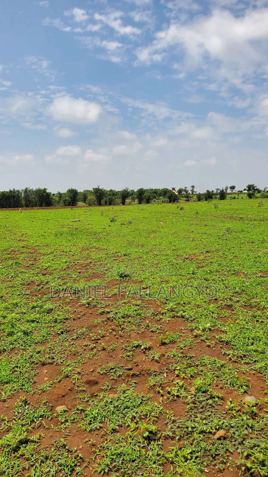 East Africa Imeitika Tena Viwanja Bei Ganda La Ndizi