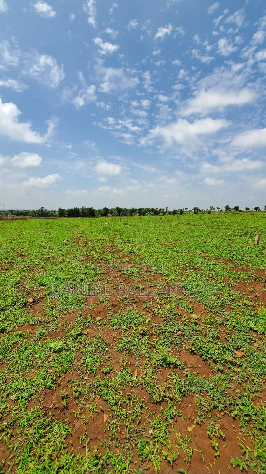 East Africa Imeitika Tena Viwanja Bei Ganda La Ndizi