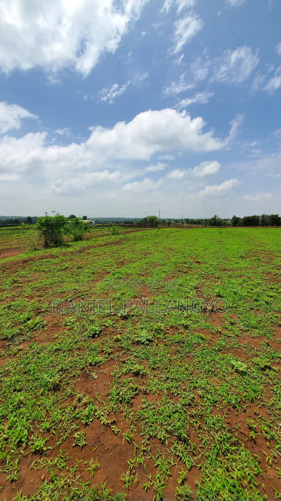 East Africa Imeitika Tena Viwanja Bei Ganda La Ndizi
