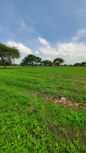 Sale Ya East Africa Arusha Badoo Inaendelea
